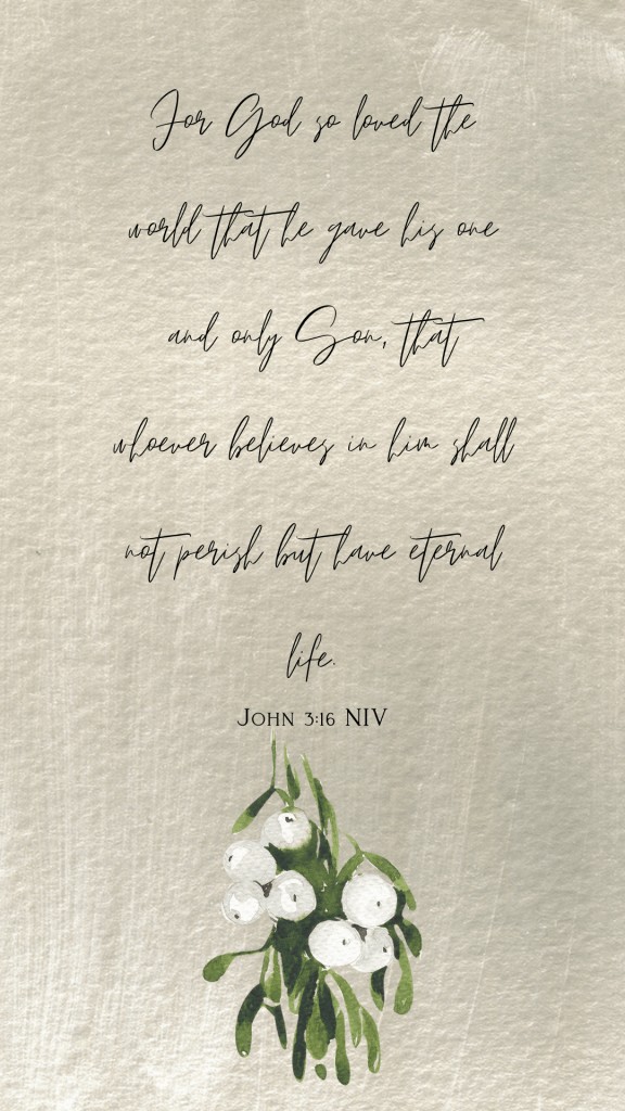 John 3:16 bible passage
