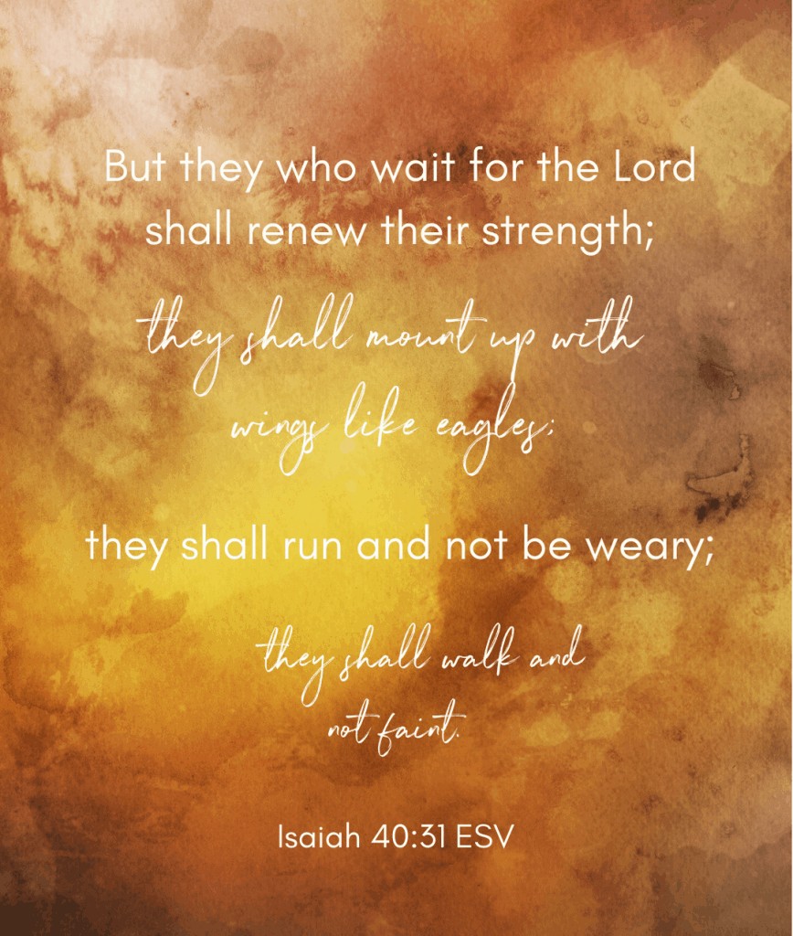Isaiah 40:31 passage 