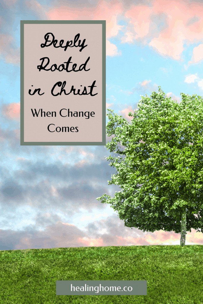 Deeply Rooted in Christ