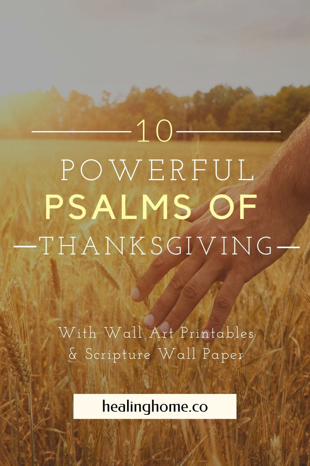 10 Powerful Psalms of Thanksgiving