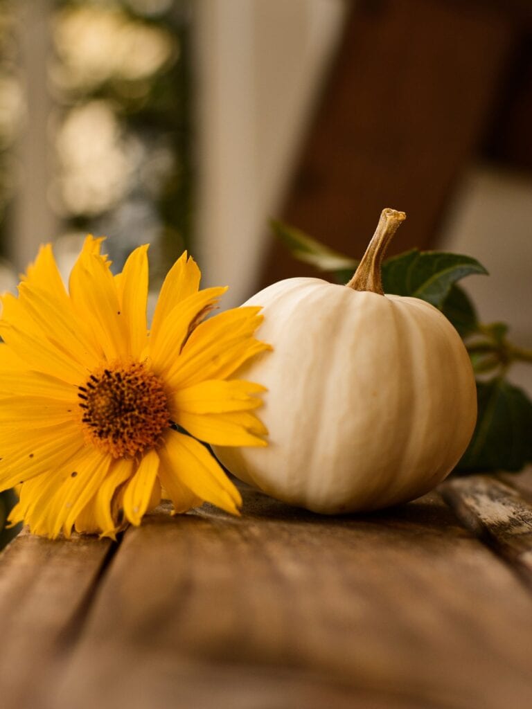 Powerful Psalms of Thanksgiving - Image with pumpkin and sunflower