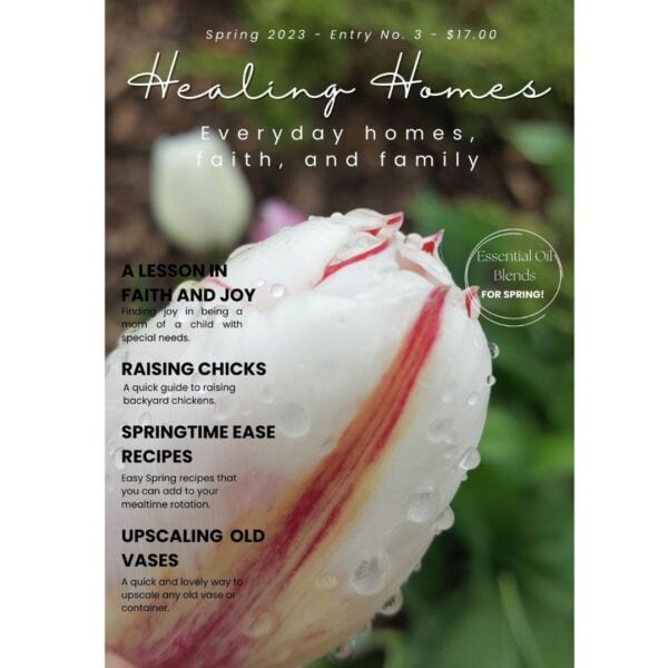 healing homes magazine spring edition