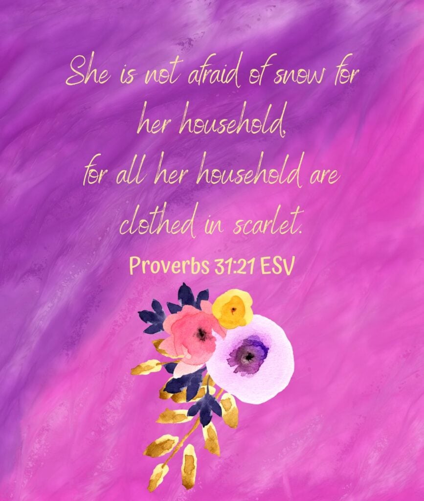 Proverbs 31:21 ESV