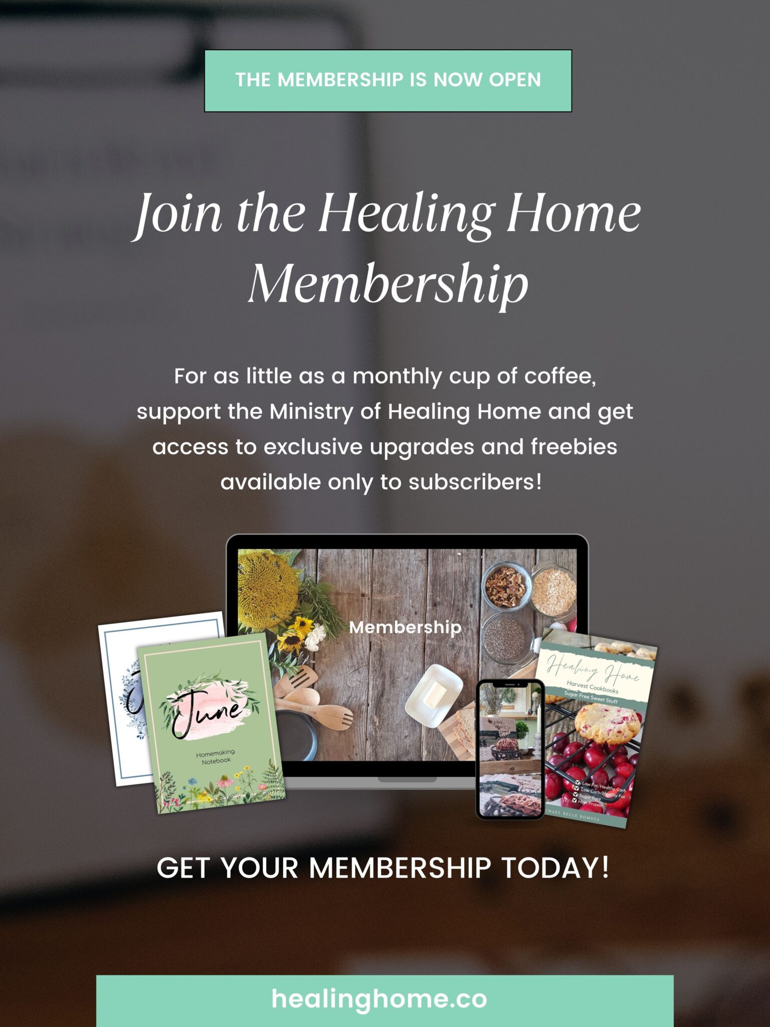 Homemaking Binder with Free Printables (Monthly) | Healing Home