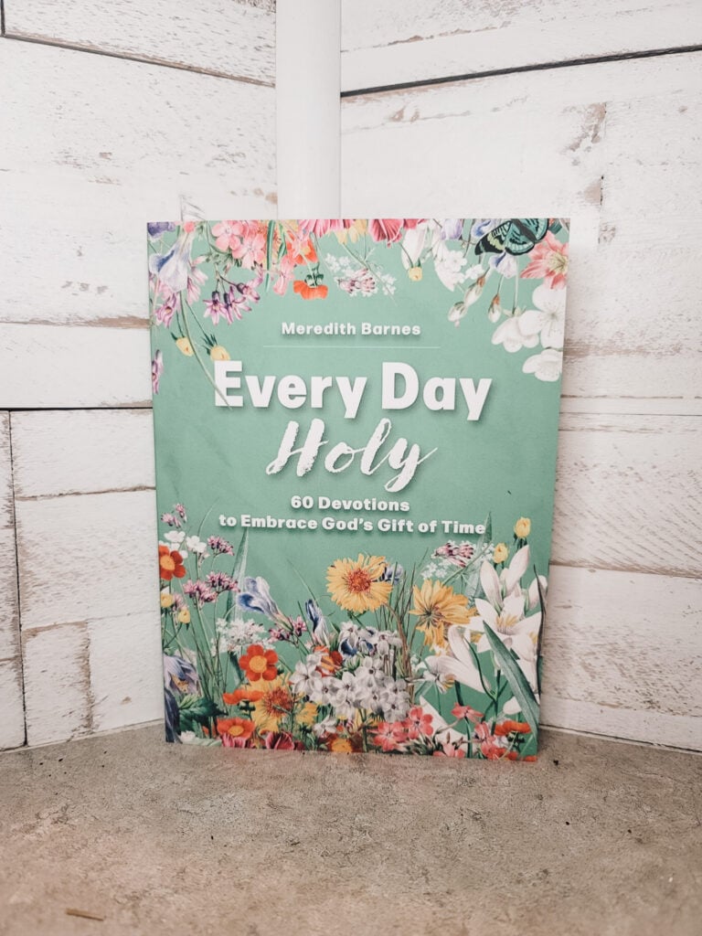 Every Day holy Devotional review