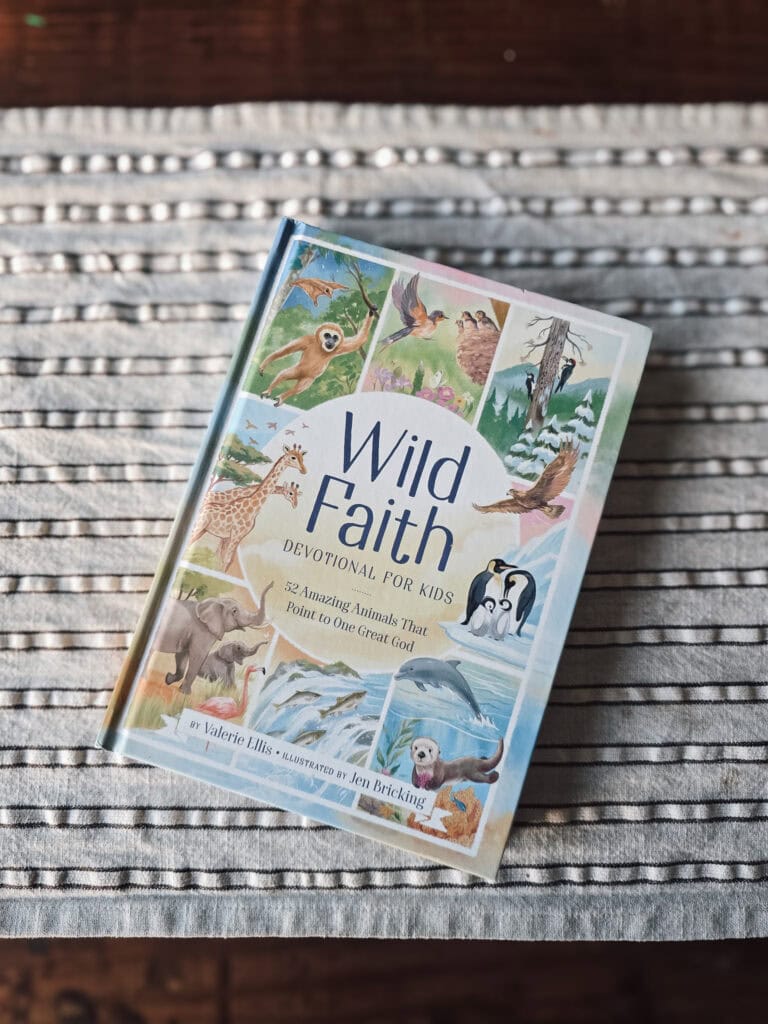 Wild Faith Devotional for Kids