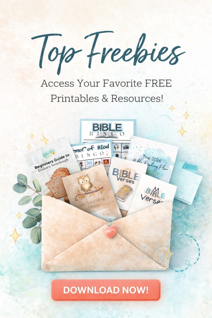 Top Freebies