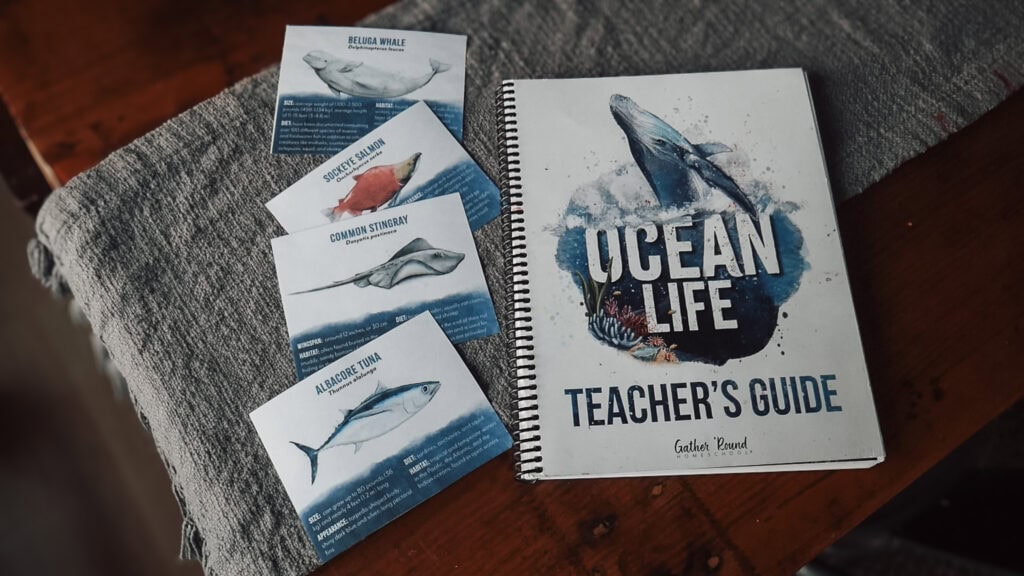 gather 'round review - Ocean Life