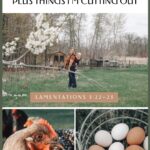Spring homemaking pinterest image