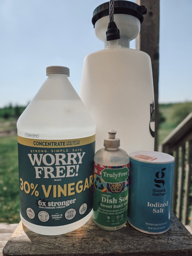Homemade Vinegar Weed Killer