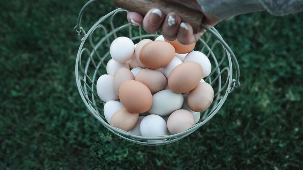 Homemaking Motivation - Egg Basket