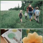 nature studies - pinterest