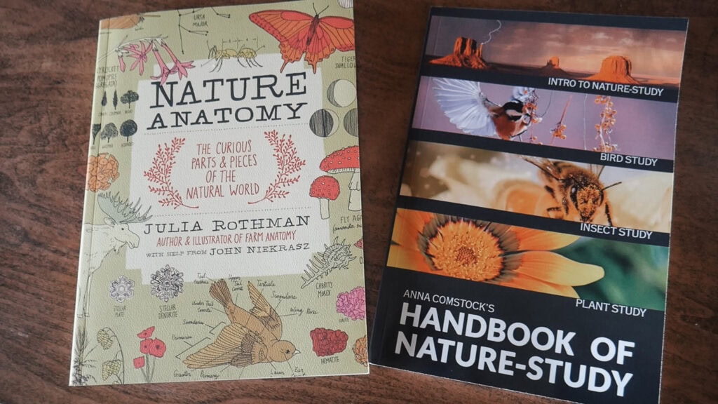 nature studies books