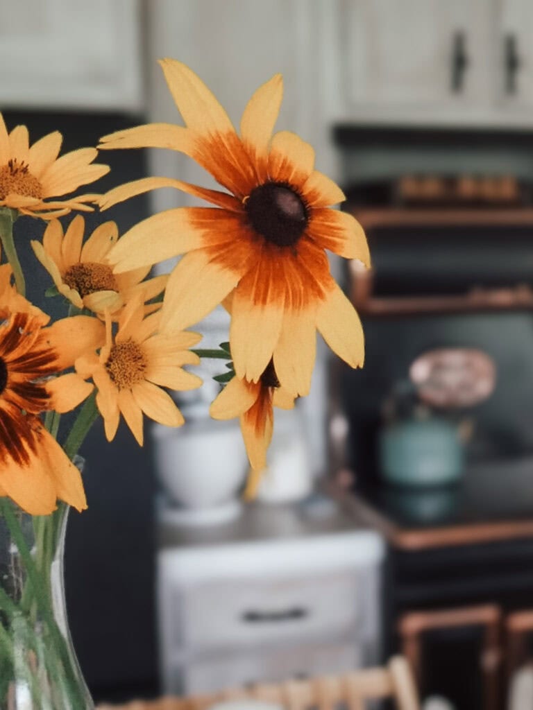 Intetional homemaking