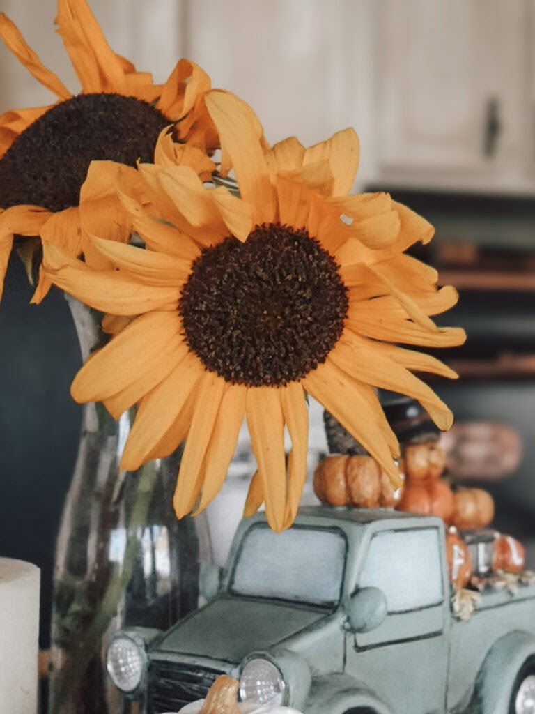 Christian Encouragement for Moms - Does My Ordinary Work Matter to God? Sunflower on counter